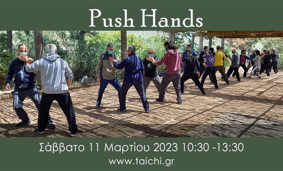 Push hands 3 hours workshop Athens