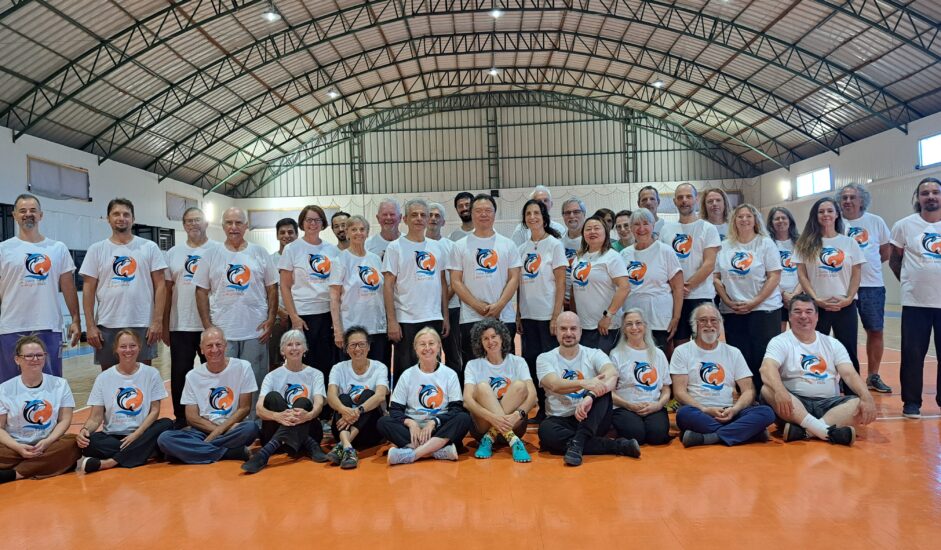 International Tai chi camp with Master Alex Dong