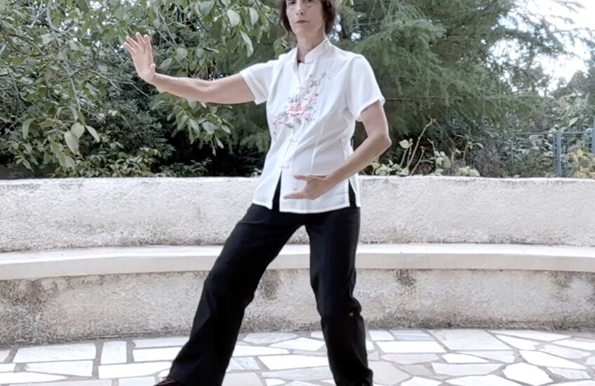 NEW BEGINNERS INTRODUCTORY TAI CHI LESSONS!