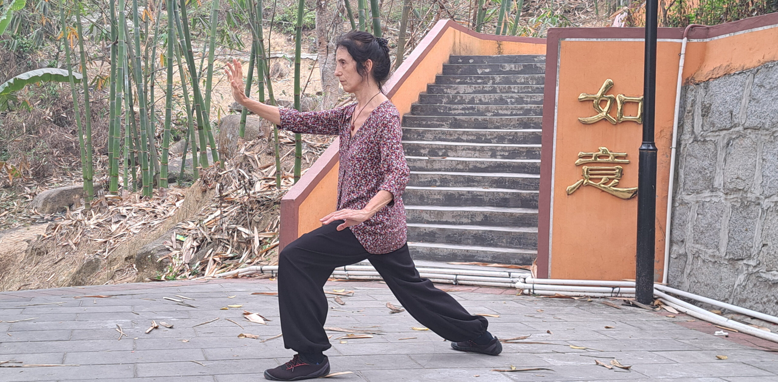 Ταξίδι στην Κίνα 2026