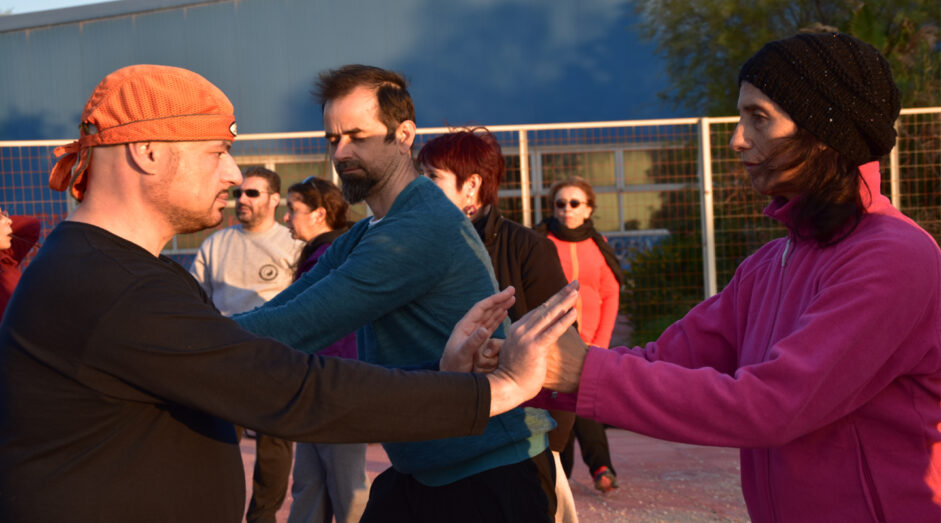 17/10 PUSH HANDS Σεμινάριο για αρχάριους